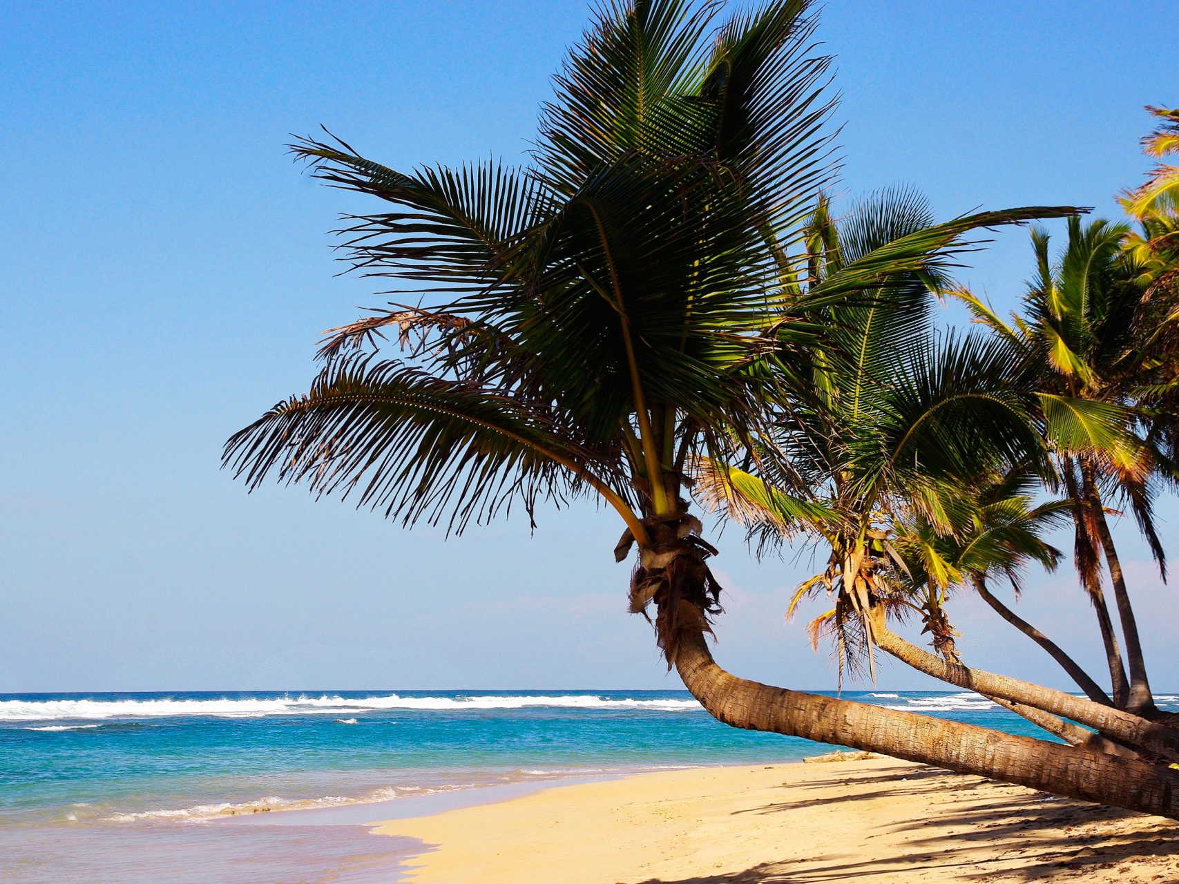 Punta Cana Sol Playas Y Diversi n Turismo Carey punta-cana-sol-playas-y-diversi-n-turismo-carey