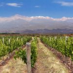 arg-mendoza-01