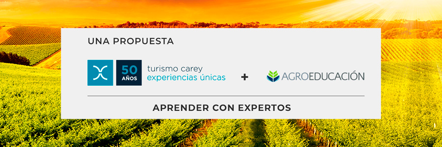 Australia y Nueva Zelanda 2019 Australia y Nueva Zelanda 2019