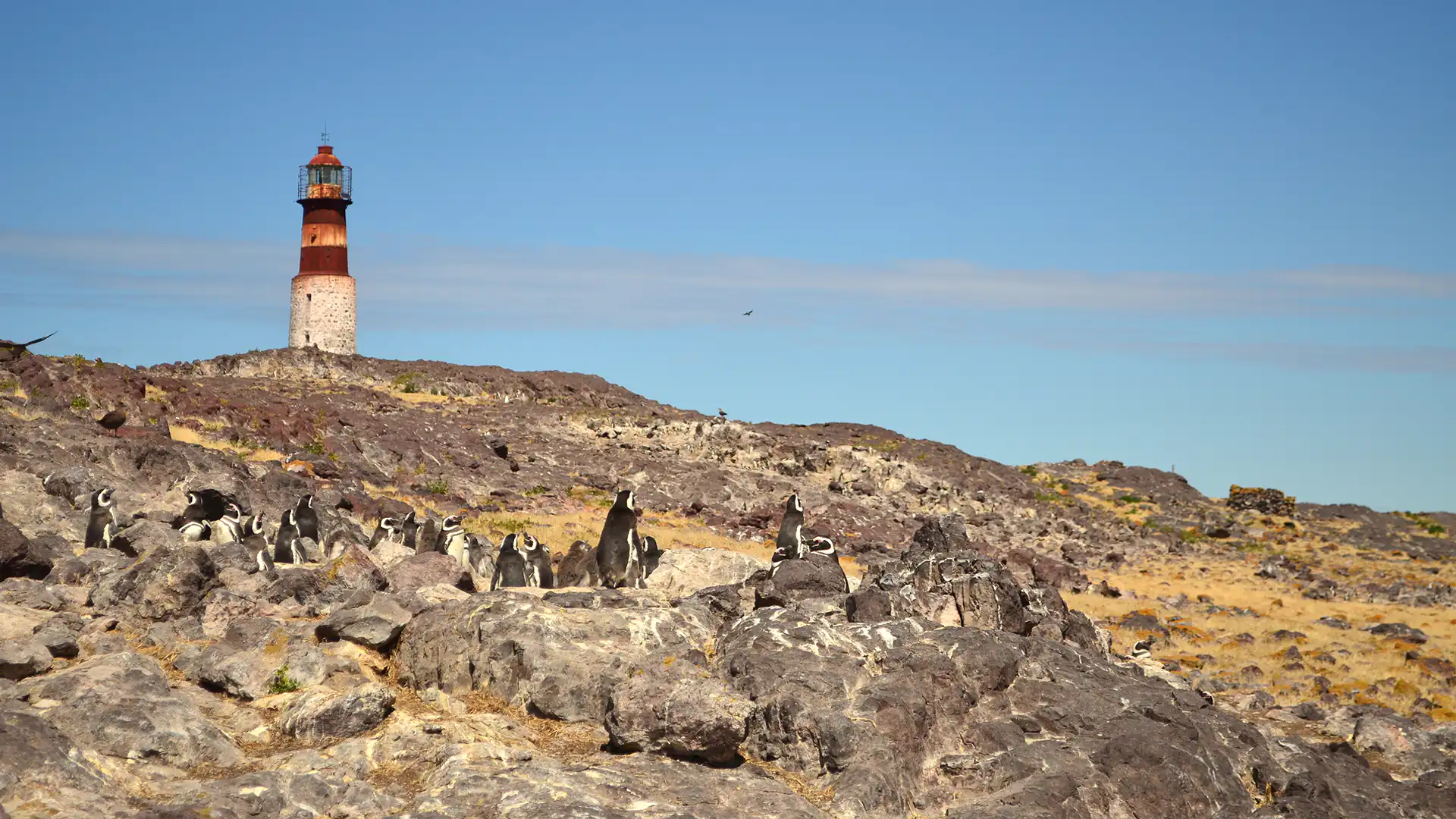 Confines patagónicos