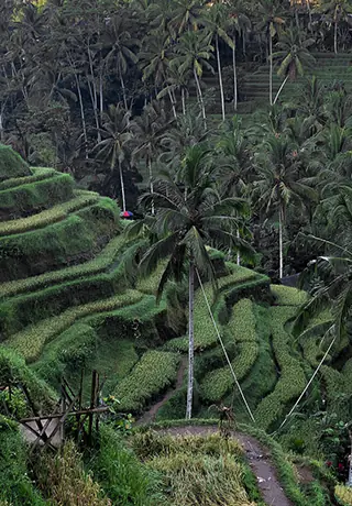 Malasia, Singapur & Bali