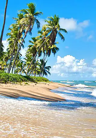 Praia do Forte