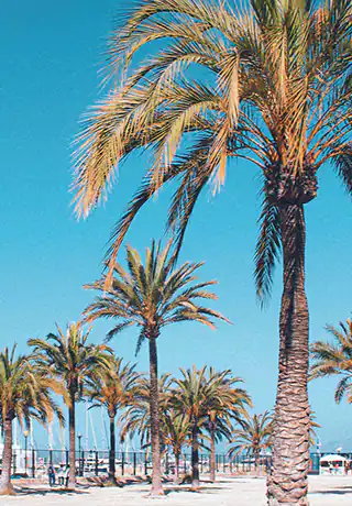 Punta Cana