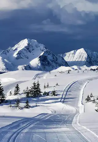 Círculo Polar Ártico